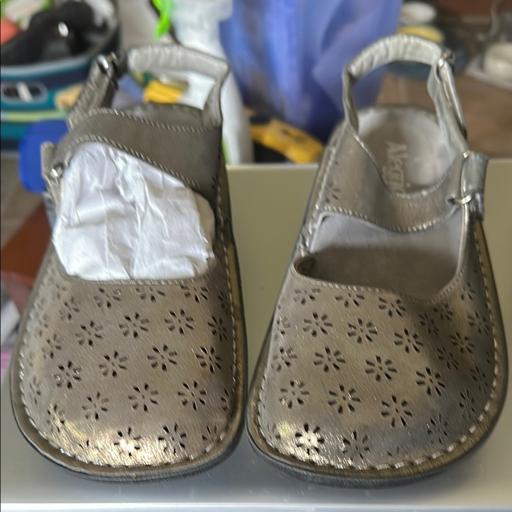 Stylish Silver adult Allegra shoes